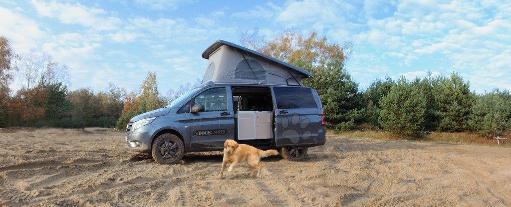 Dogscamper - Wohnmobil für Hundebesitzer